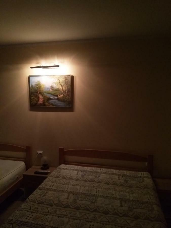 Djurdja Apartment Arandjelovac Eksteriør bilde